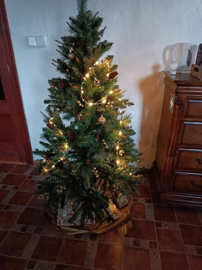 Sunny Vista Nocleg ze śniadaniem 3*